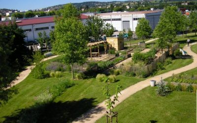 Une nouvelle étude montre l’efficacité de l’hortithérapie dans la réduction de l’anxiété